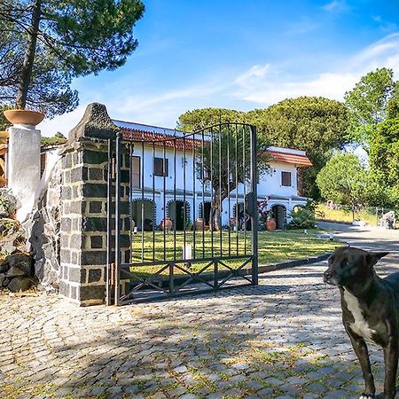 Hotel Sirio Boscotrecase Dış mekan fotoğraf