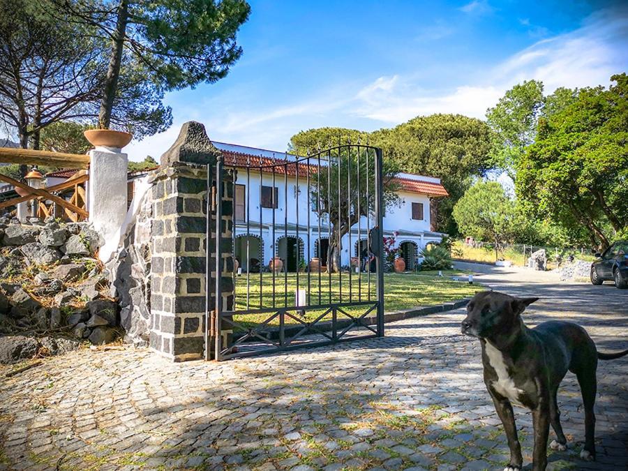 Hotel Sirio Boscotrecase Dış mekan fotoğraf