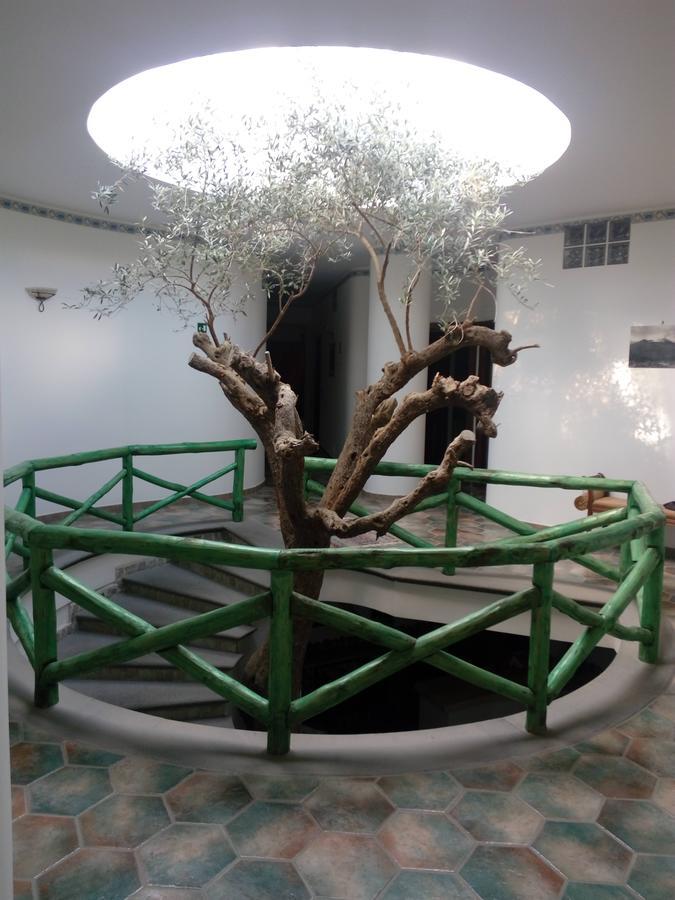 Hotel Sirio Boscotrecase Dış mekan fotoğraf